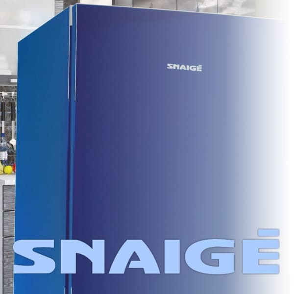 Snaige